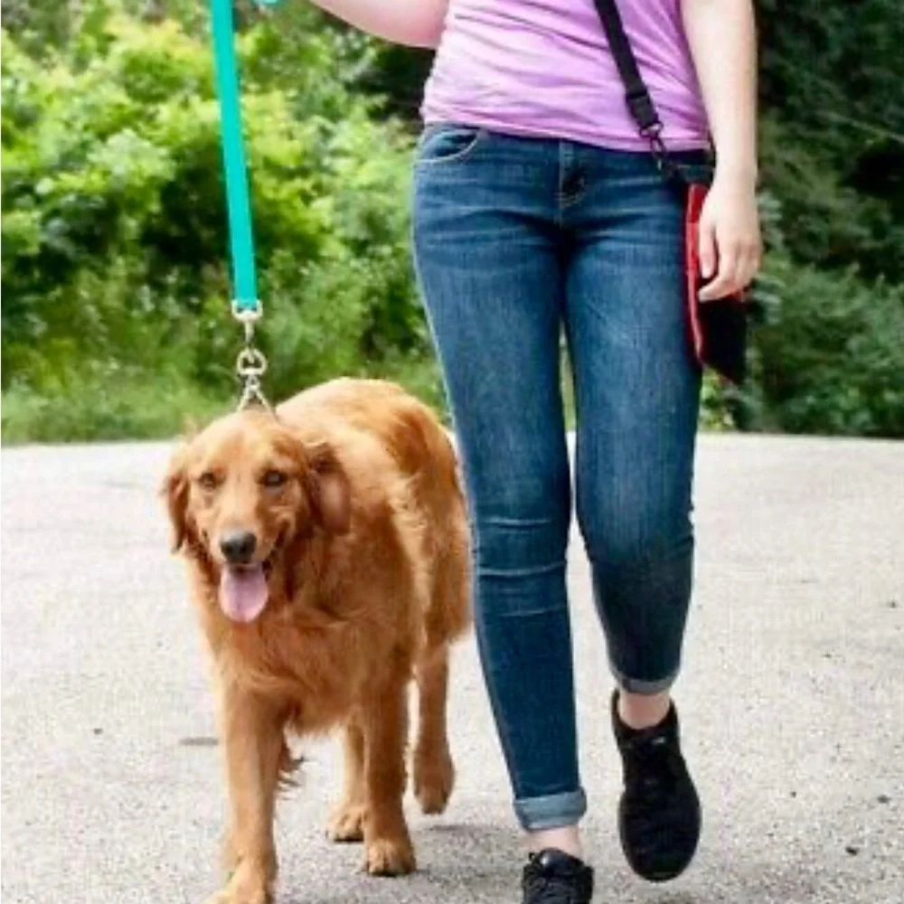 Top Paw Quick-Release Prong Collar